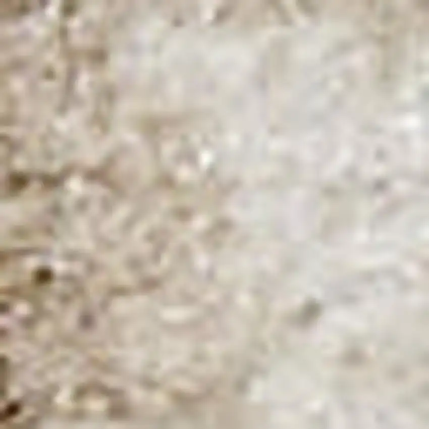 Beige and Ivory Medallion Power Loom Distressed Area Rug Photo 1