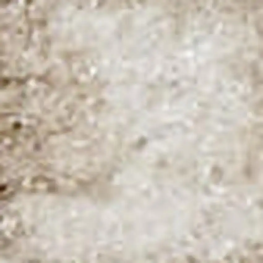 Beige and Ivory Medallion Power Loom Distressed Area Rug Photo 5