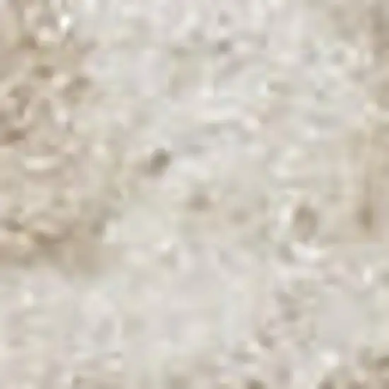 Beige and Ivory Medallion Power Loom Distressed Area Rug Photo 1