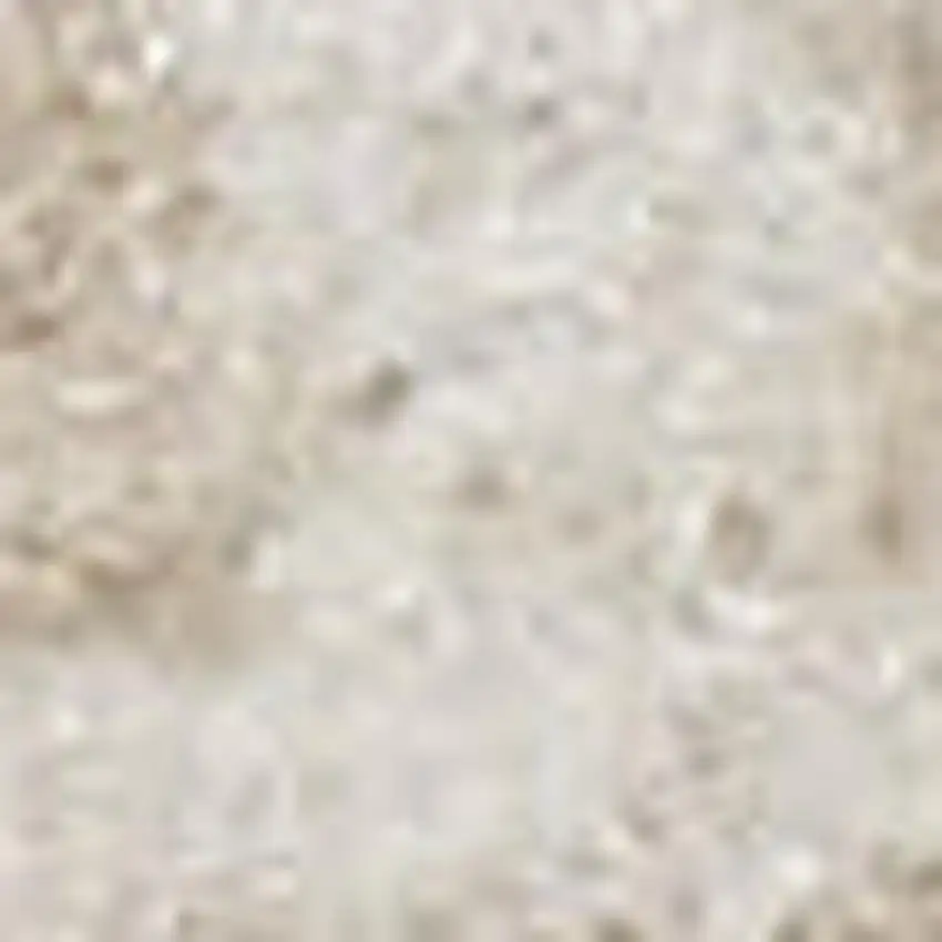 Beige and Ivory Medallion Power Loom Distressed Area Rug Photo 1