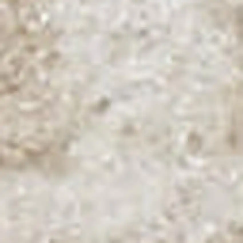 8' Beige And Ivory Medallion Distressed Runner Rug Photo 1