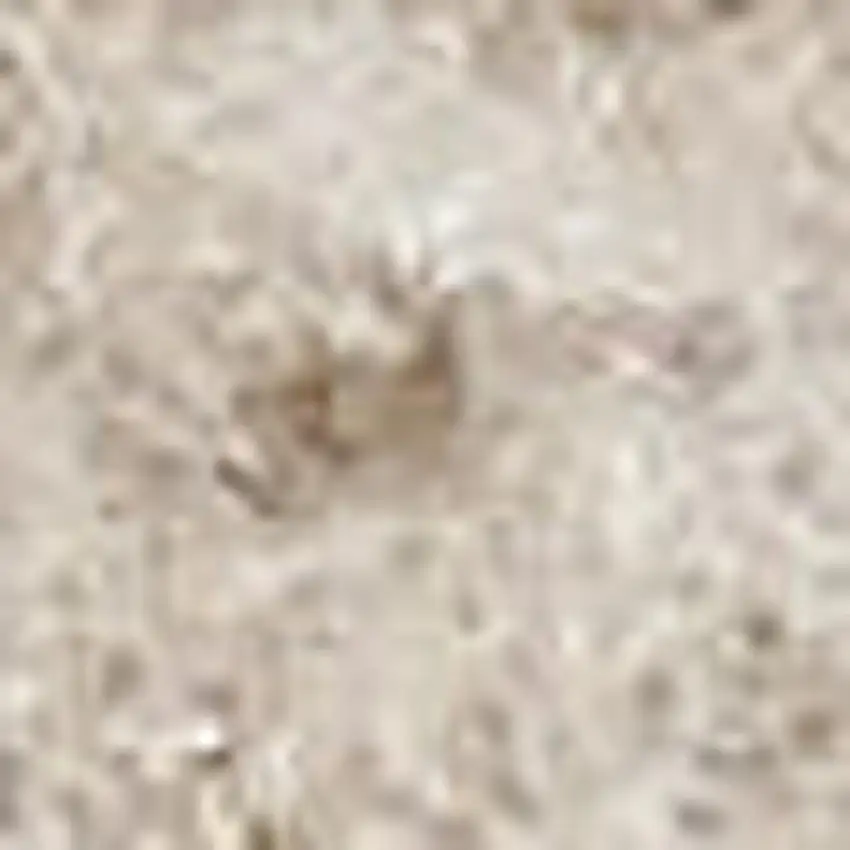 Beige and Ivory Moroccan Power Loom Area Rug Photo 1