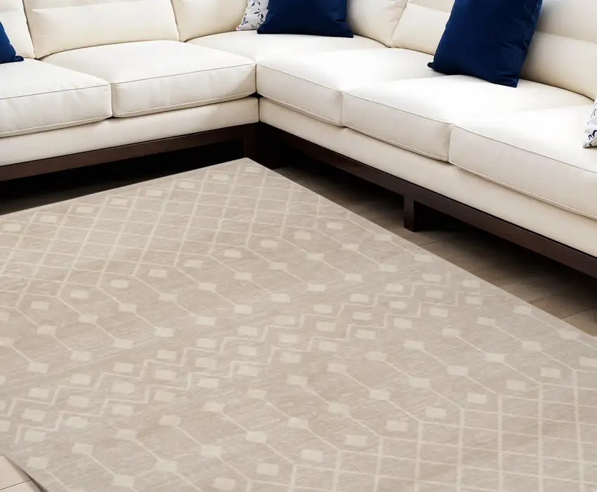 Beige and Ivory Moroccan Power Loom Area Rug Photo 1