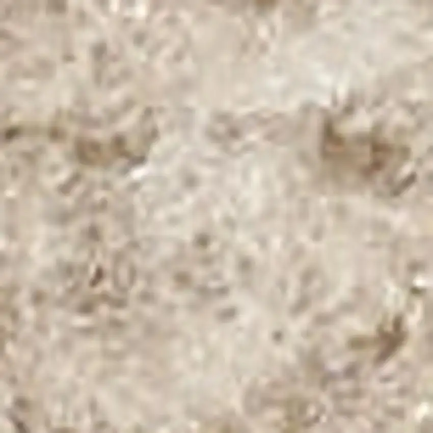 Beige and Ivory Moroccan Power Loom Area Rug Photo 4