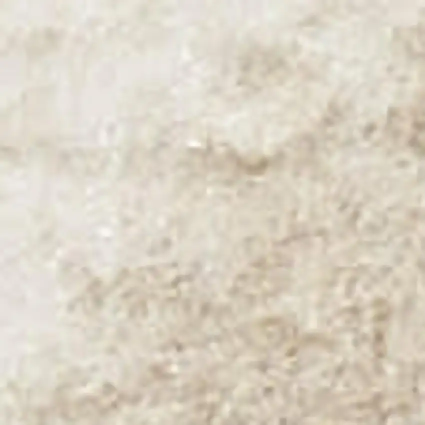 Beige and Ivory Moroccan Power Loom Area Rug Photo 5