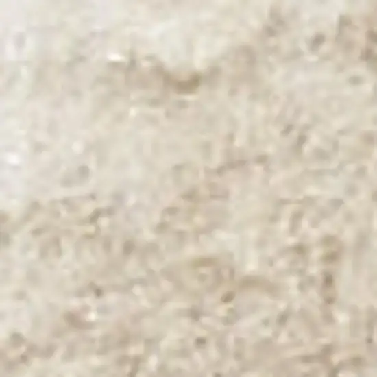 Beige and Ivory Moroccan Power Loom Area Rug Photo 1