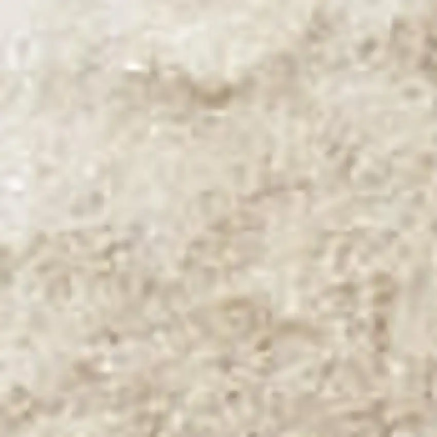 Beige and Ivory Moroccan Power Loom Area Rug Photo 1