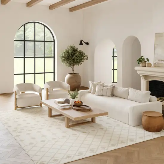 Beige and Ivory Moroccan Power Loom Area Rug Photo 3