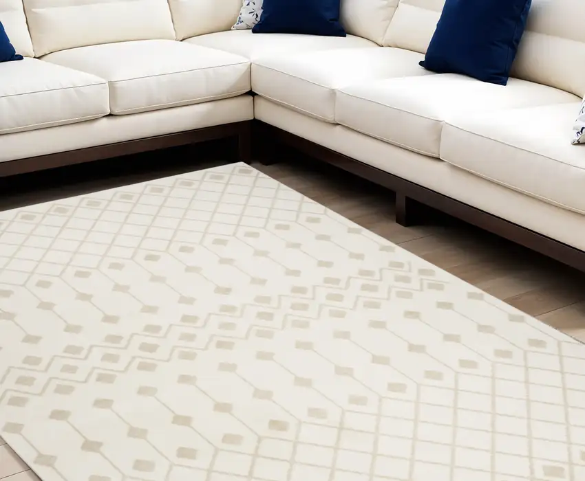 Beige and Ivory Moroccan Power Loom Area Rug Photo 1
