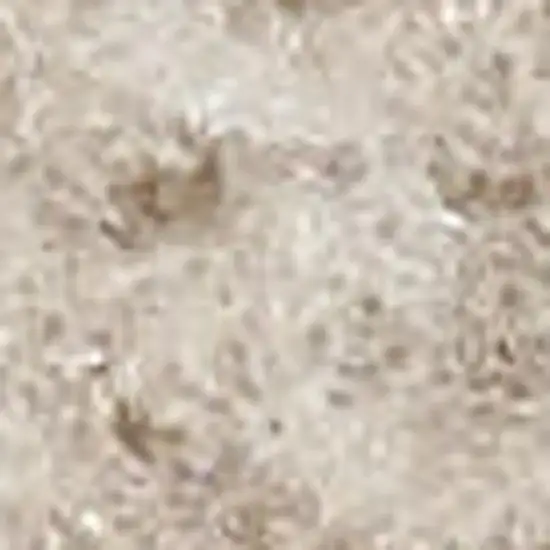 8' Beige And Ivory Moroccan Runner Rug Photo 1