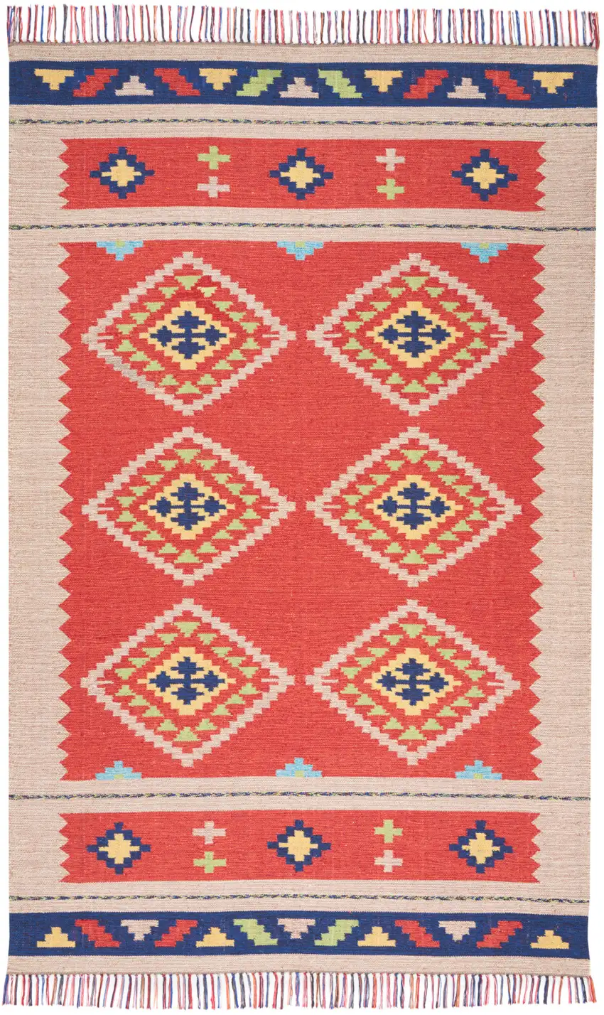 Beige and Red Southwestern Handmade Area Rug With Fringe Photo 2