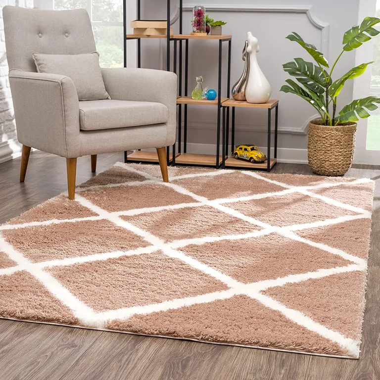 Beige and White Modern Lattice Area Rug Photo 4