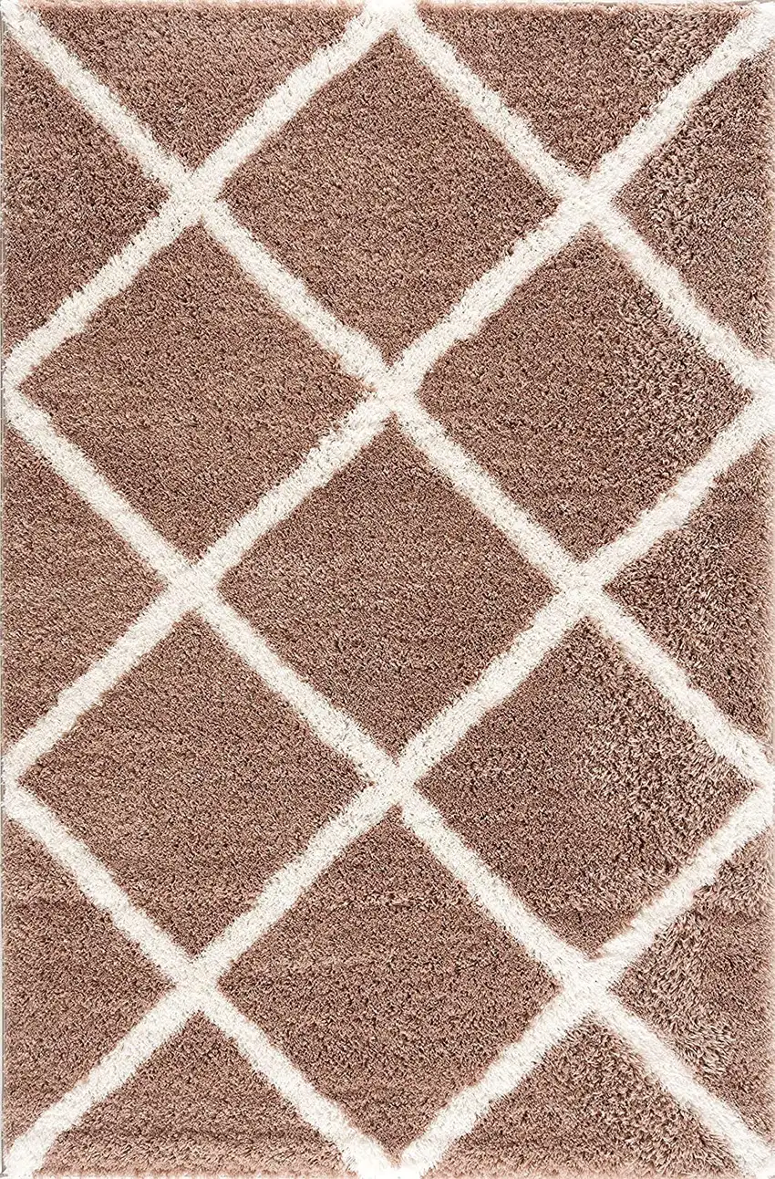 Beige and White Modern Lattice Area Rug Photo 1