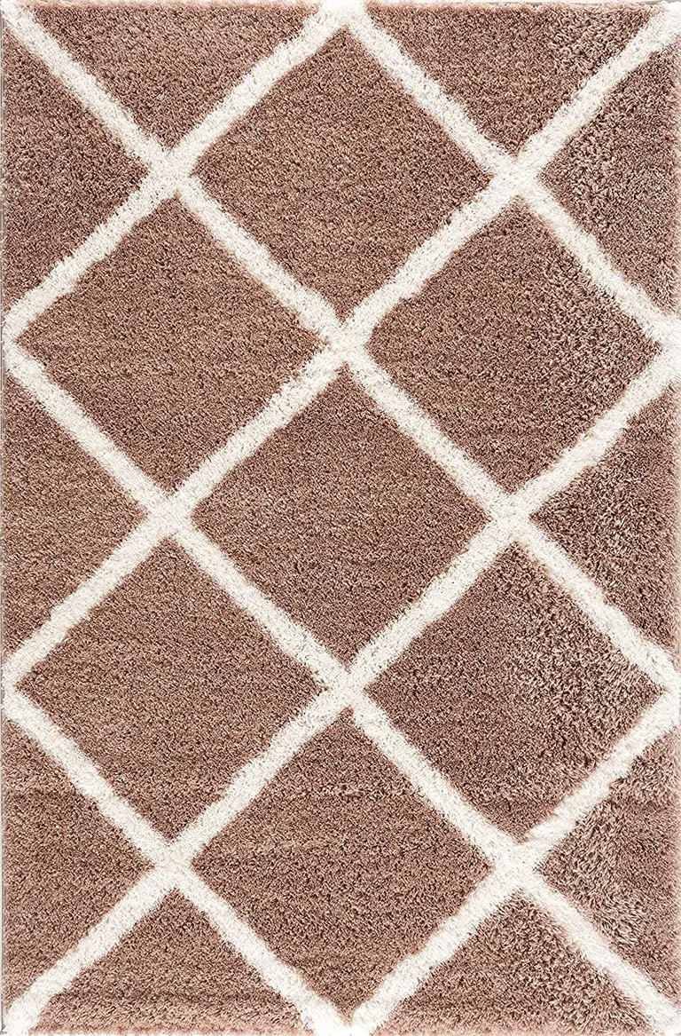 Beige and White Modern Lattice Area Rug Photo 1