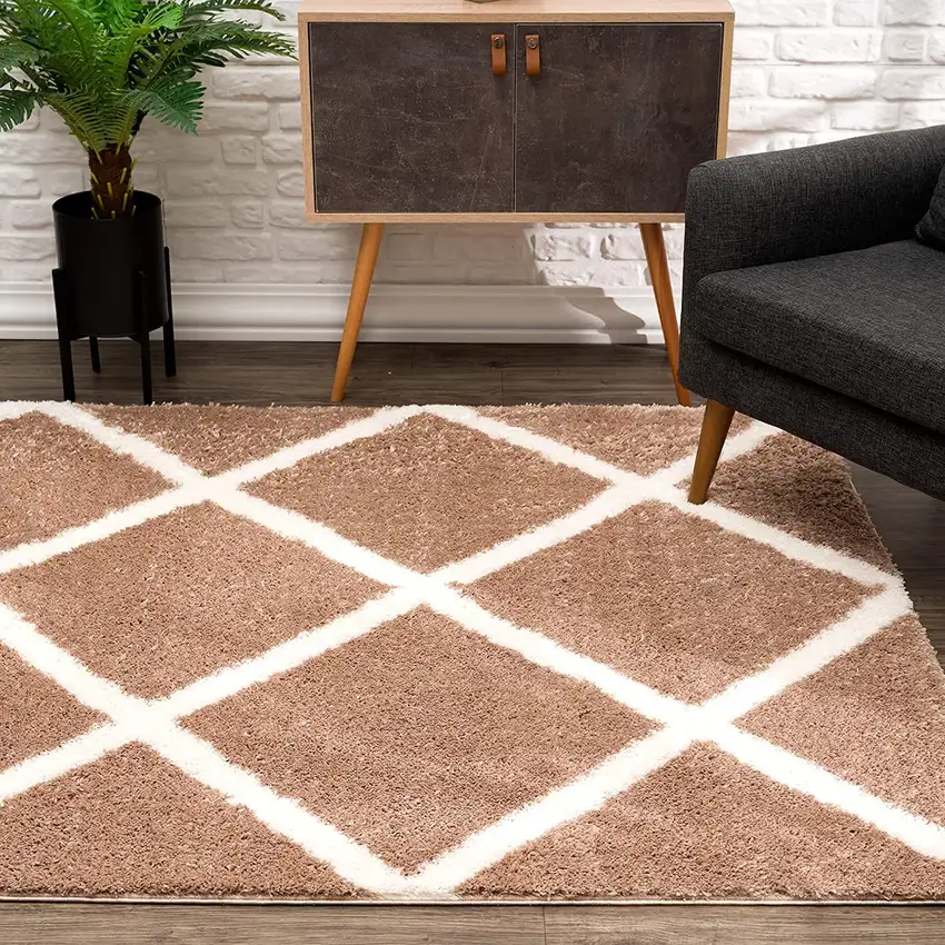 Beige and White Modern Lattice Area Rug Photo 5