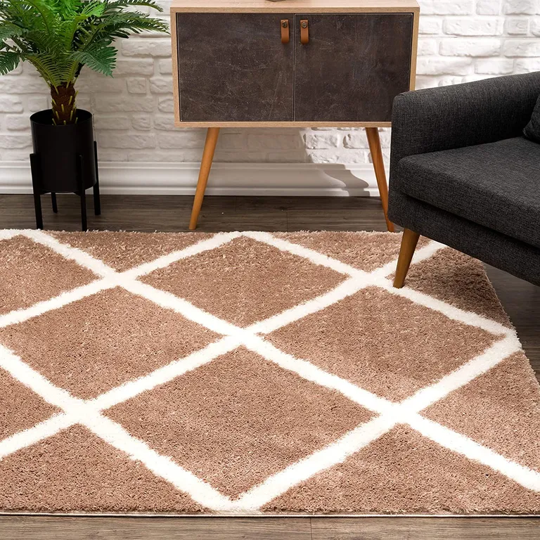 Beige and White Modern Lattice Area Rug Photo 5