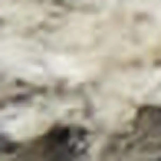 Black Abstract Power Loom Area Rug Photo 1