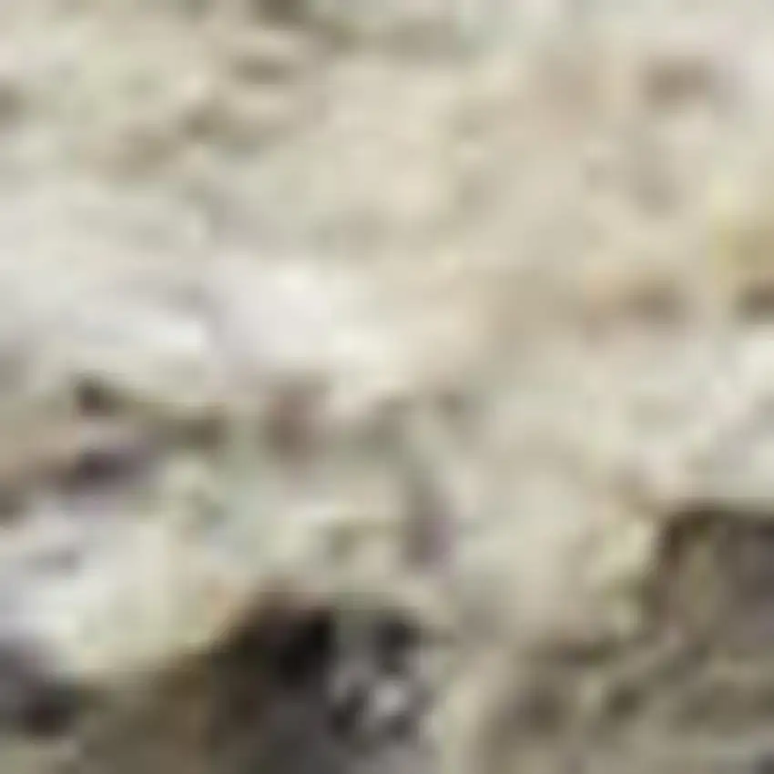 Black Abstract Power Loom Area Rug Photo 1