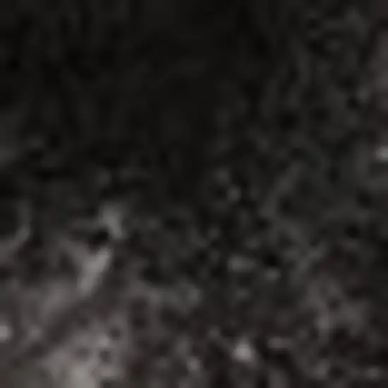 Black Abstract Power Loom Stain Resistant Area Rug Photo 3