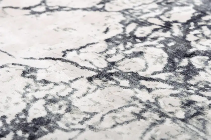 Black And Beige Oriental Area Rug Photo 4