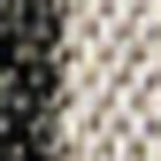 Black And Beige Striped Indoor Outdoor Area Rug Photo 2