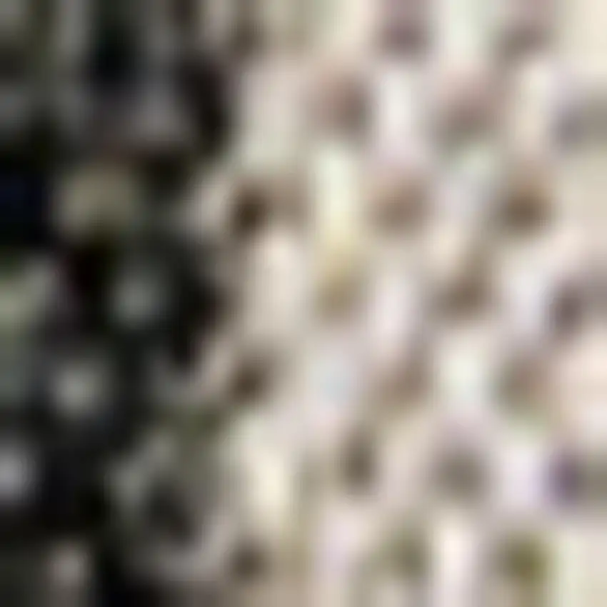 Black And Beige Striped Indoor Outdoor Area Rug Photo 2