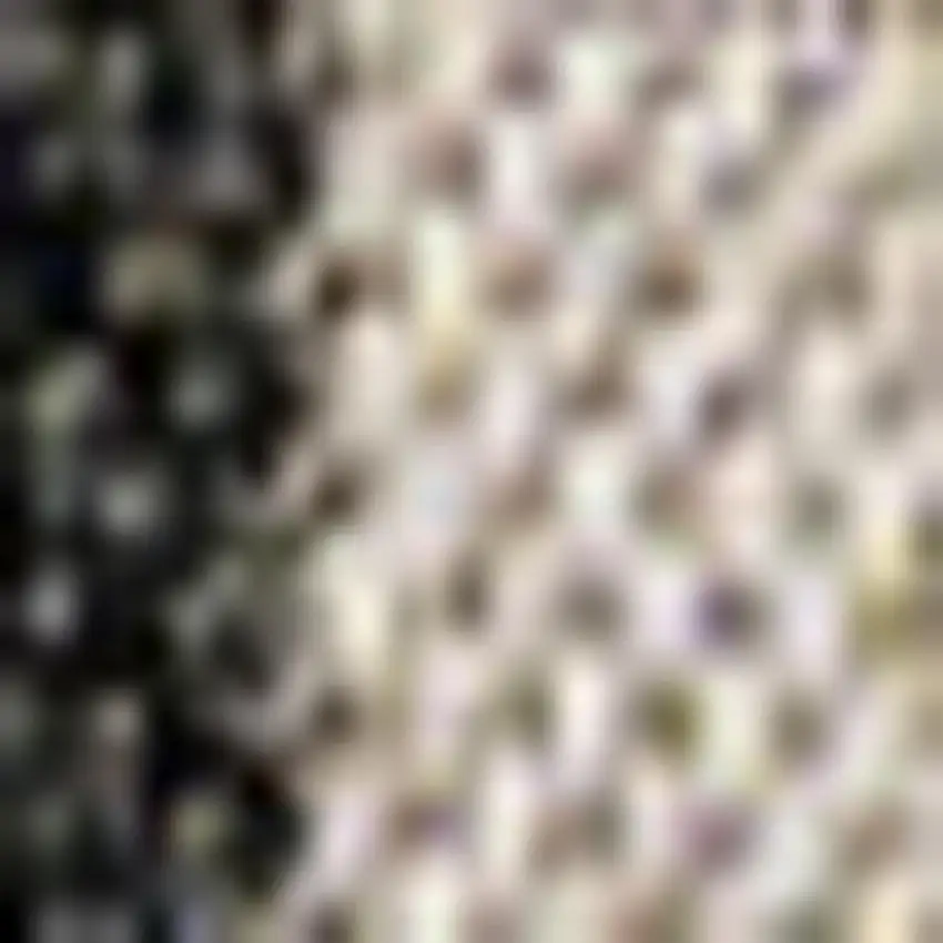 Black And Beige Striped Indoor Outdoor Area Rug Photo 3