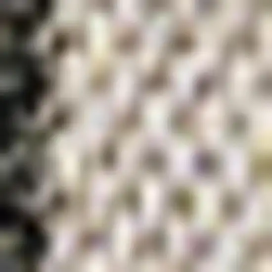 Black And Beige Striped Indoor Outdoor Area Rug Photo 2