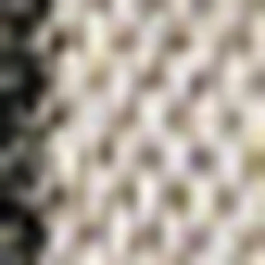 Black And Beige Striped Indoor Outdoor Area Rug Photo 2