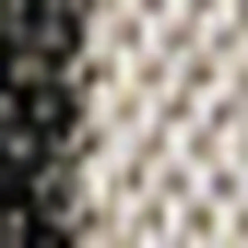 Black And Beige Striped Indoor Outdoor Area Rug Photo 2