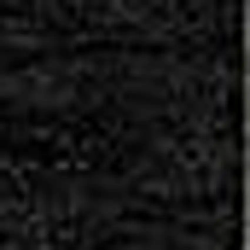 Black And Beige Striped Washable Indoor Outdoor Area Rug Photo 6