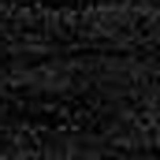 Black And Beige Striped Washable Indoor Outdoor Area Rug Photo 4