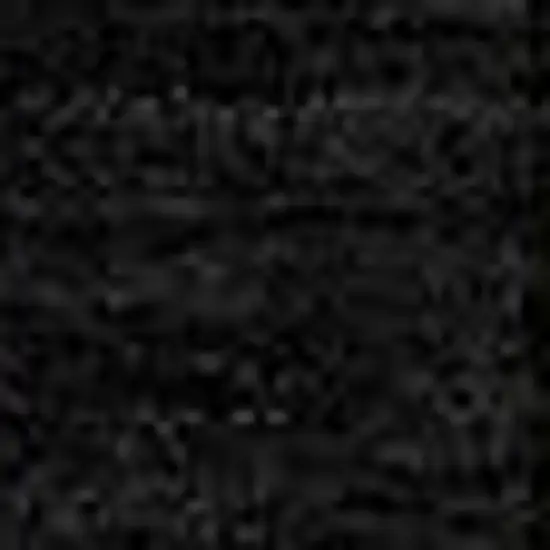 Black And Beige Striped Washable Indoor Outdoor Area Rug Photo 5