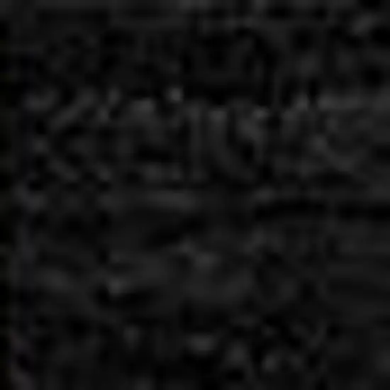 Black And Beige Striped Washable Indoor Outdoor Area Rug Photo 6