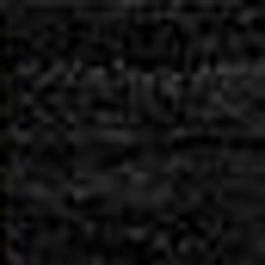 Black And Beige Striped Washable Indoor Outdoor Area Rug Photo 6