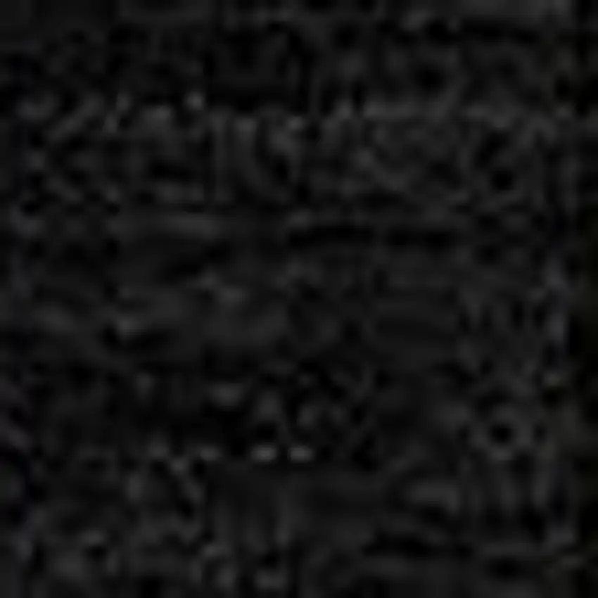 Black And Beige Striped Washable Indoor Outdoor Area Rug Photo 7