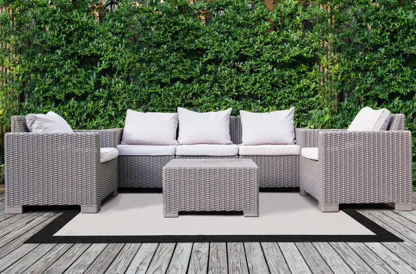 Black And Cream Area Rug Photo 2