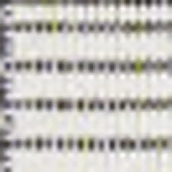 Black And Cream Geometric Indoor Outdoor Area Rug Photo 2