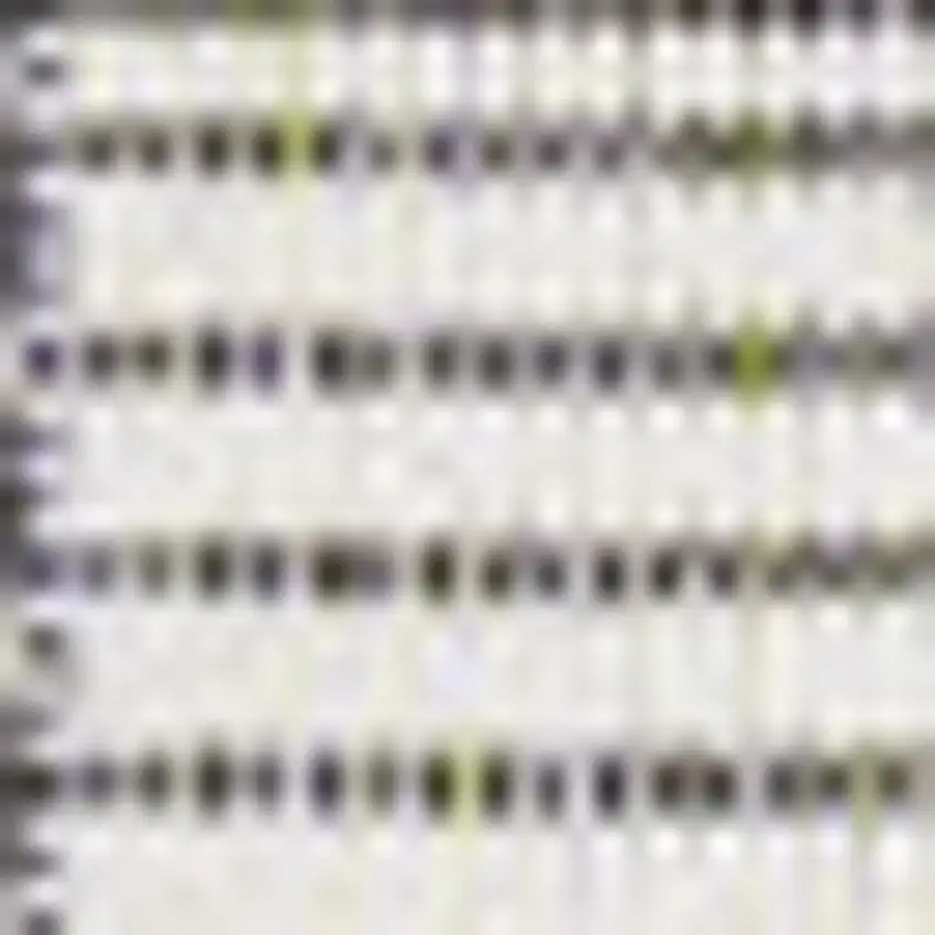 Black And Cream Geometric Indoor Outdoor Area Rug Photo 2