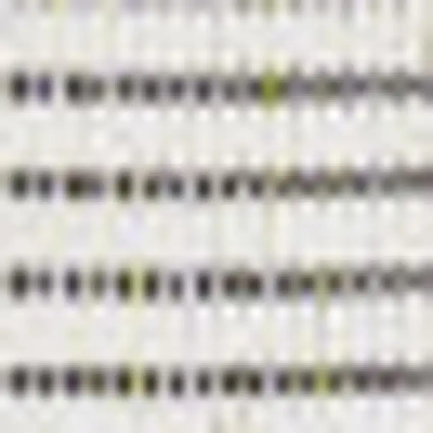 Black And Cream Geometric Indoor Outdoor Area Rug Photo 2