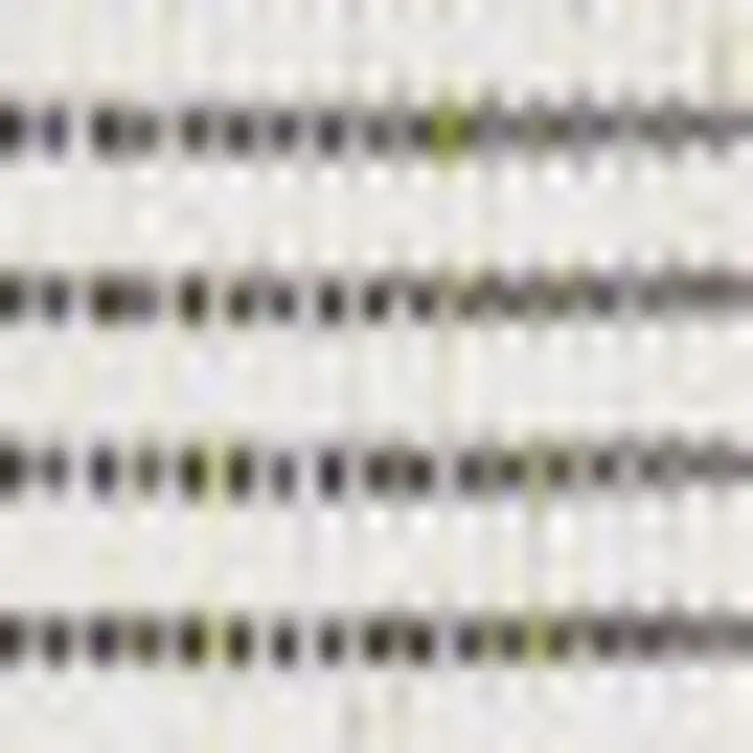 Black And Cream Geometric Indoor Outdoor Area Rug Photo 2