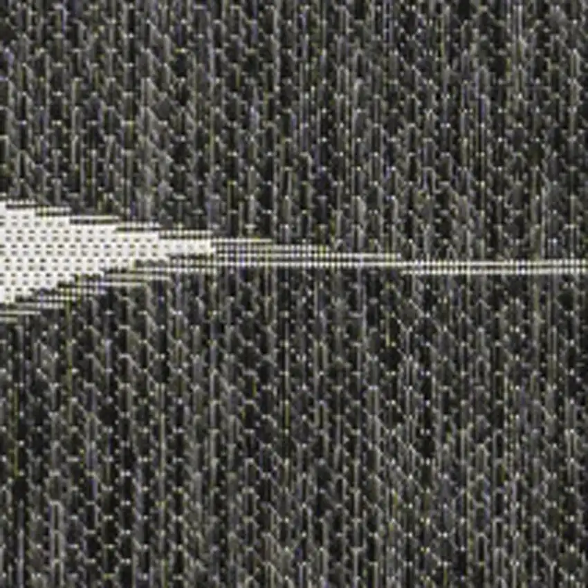 Black And Cream Geometric Indoor Outdoor Area Rug Photo 2