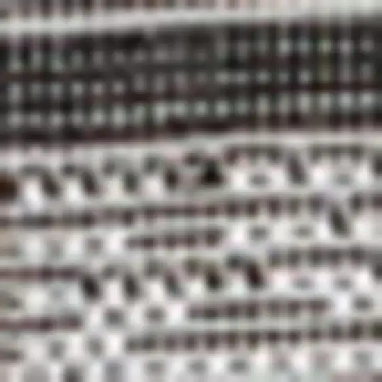 Black And Cream Indoor Outdoor Area Rug Photo 3