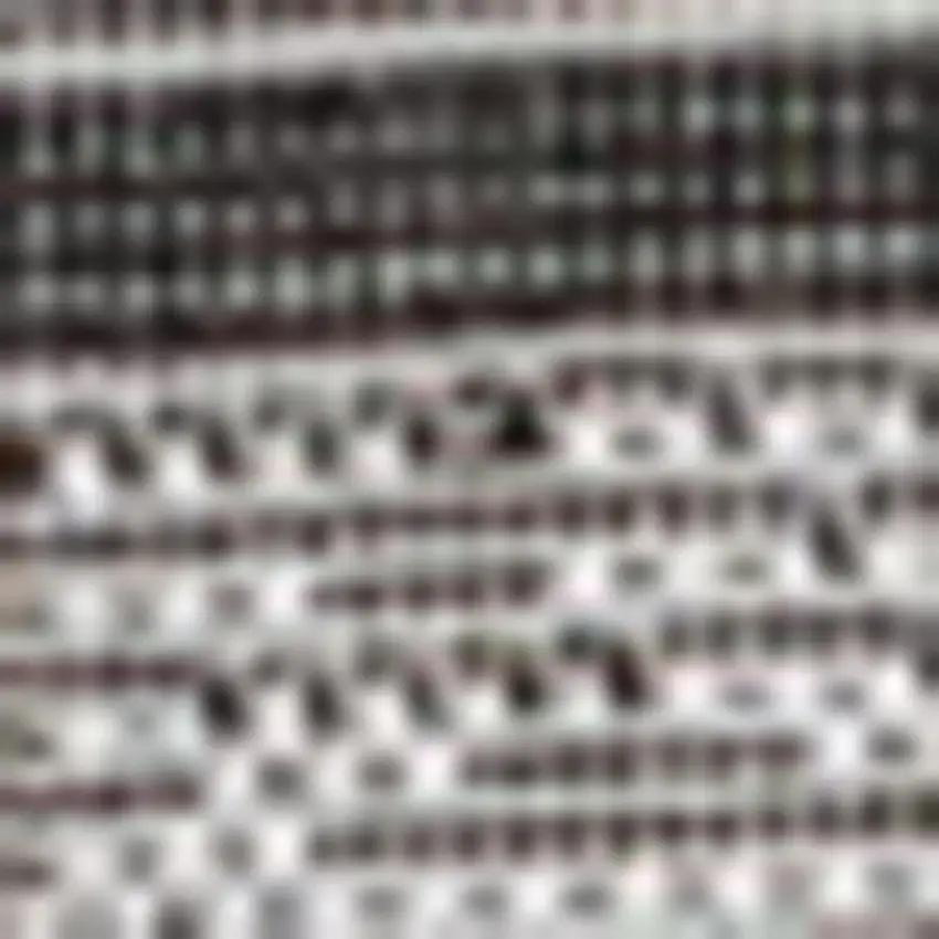 Black And Cream Indoor Outdoor Area Rug Photo 3