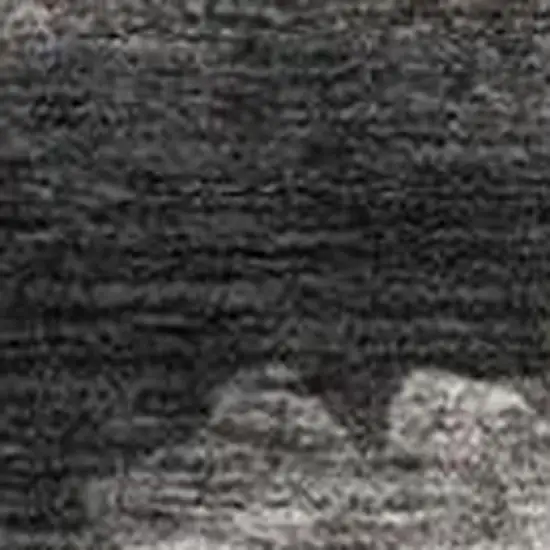 Black And Graphite Abstract Washable Indoor Outdoor Area Rug Photo 5