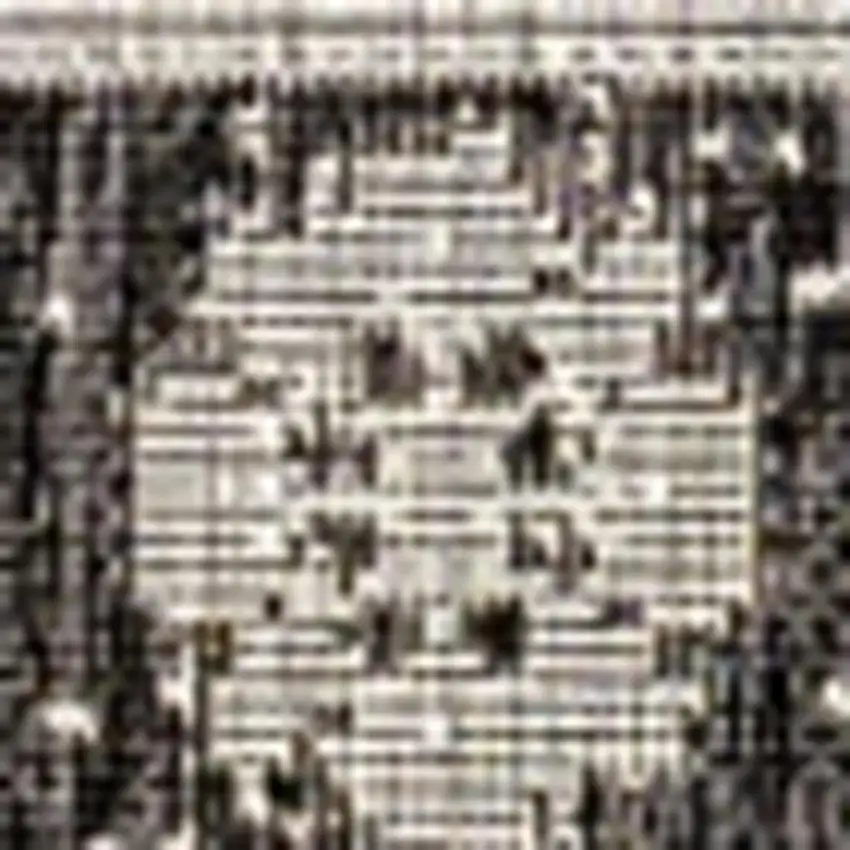 Black And Gray Medallion Indoor Outdoor Area Rug Photo 2