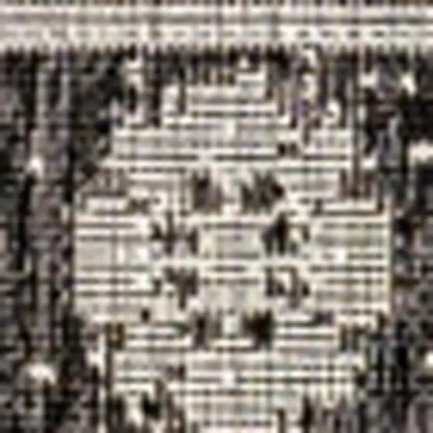 Black And Gray Medallion Indoor Outdoor Area Rug Photo 2