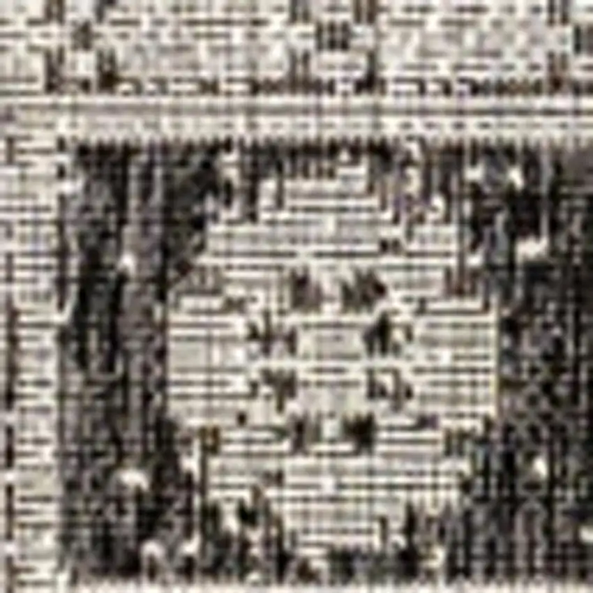 Black And Gray Medallion Indoor Outdoor Area Rug Photo 3