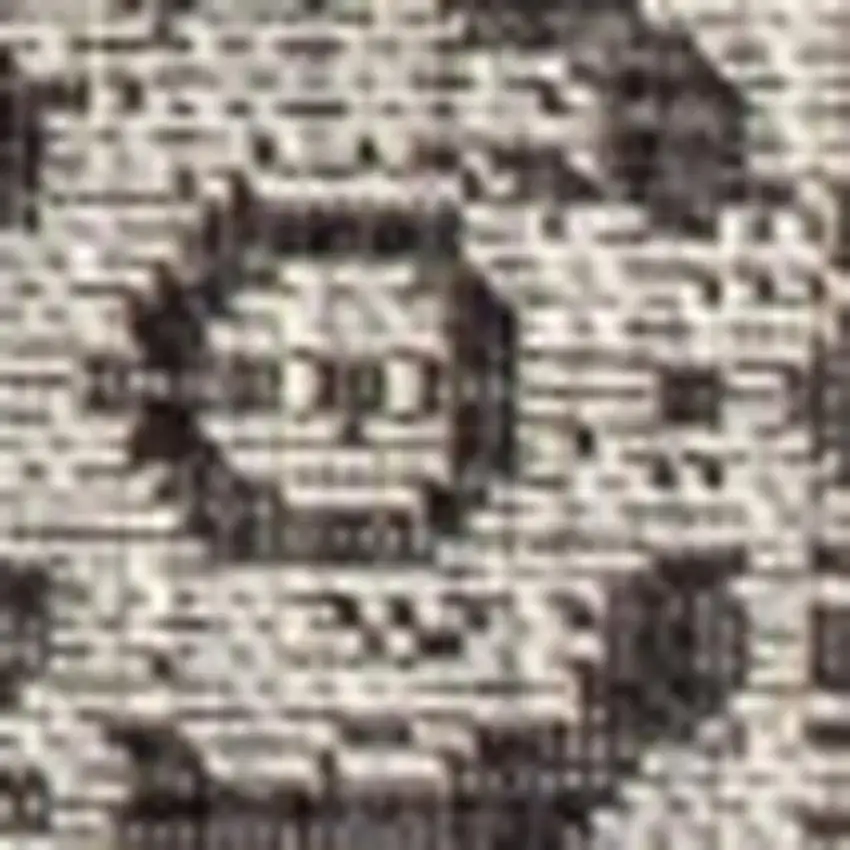 Black And Gray Medallion Indoor Outdoor Area Rug Photo 3