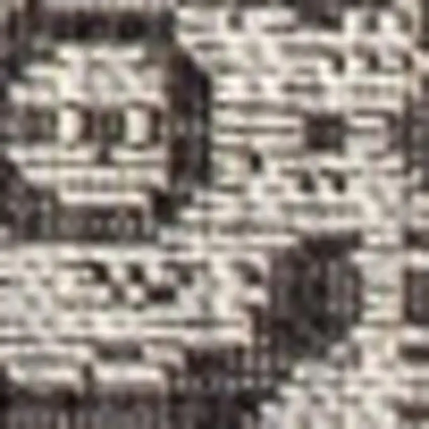 Black And Gray Medallion Indoor Outdoor Area Rug Photo 2